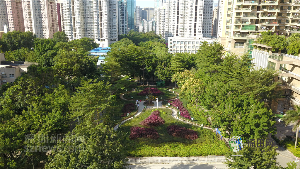  鵬城眼|我的實(shí)事我做主！5年辦理“民生微實(shí)事”6774件}