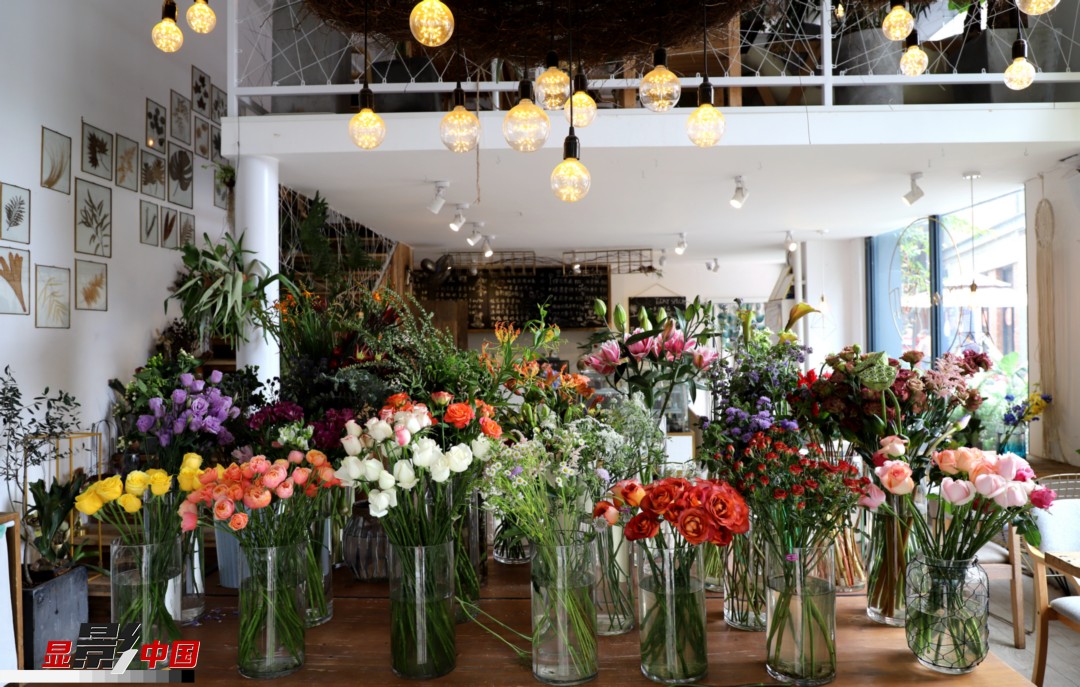 從決定從事鮮花這個(gè)行業(yè)以來(lái)，王黎媛花了很多的時(shí)間和精力去學(xué)習(xí)花藝，不斷提高自己的專業(yè)水平。而在小店的選址、裝修和布置方面，王黎媛同樣花費(fèi)了不少心思，“希望我的小店和鮮花一樣，是有溫度的、鮮活的?！绷硗?，小小的花店也藏著大大的夢(mèng)想，“我們?cè)颇硝r花很多，但真正做成品牌的卻很少，這是非?？上У?。我希望把我的店做成品牌，不光能扎根昆明，還能落地到云南的其他城市，甚至省外的城市?！眻D為王黎媛的花店一角。新華網(wǎng) 周亞平/攝 念新洪/文