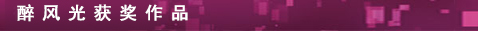醉風(fēng)光獲獎作品